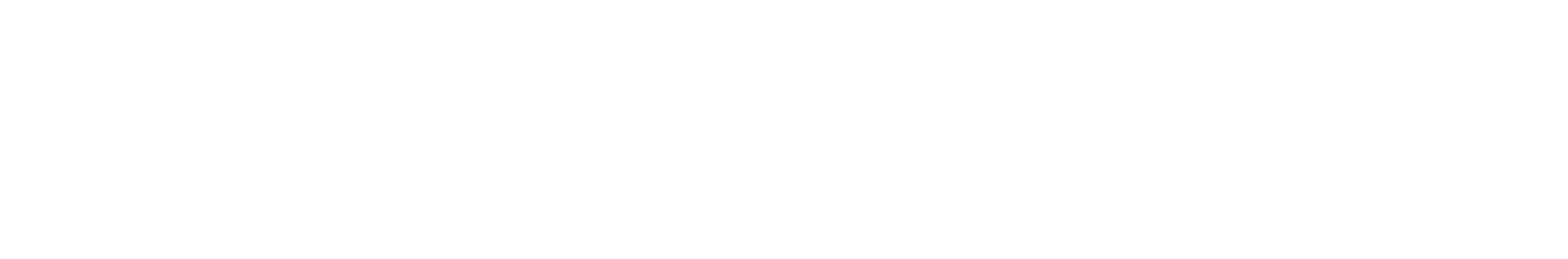 Zoodoo Studio